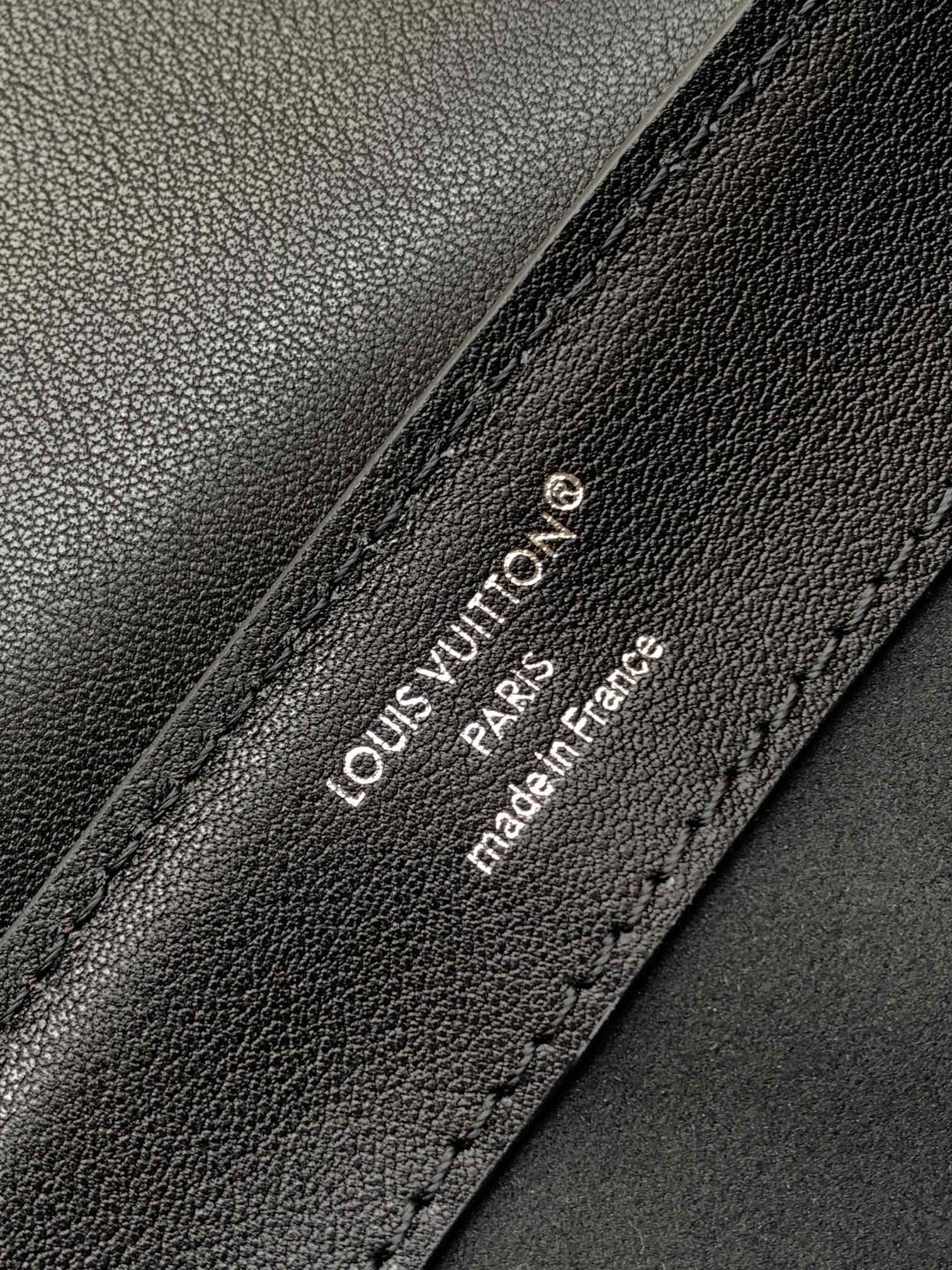 LV Dauphine Soft Vibe MM - Image 9