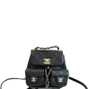 Chanel23p/24A Duma Frog Leather Backpack with Double Pockets