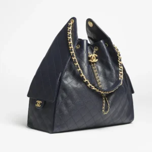 CHANEL 25 Hobo bag 25s classic double c logo single compartment bag in grained calfskin