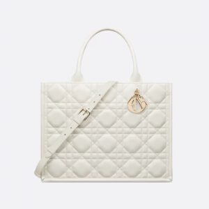 DIOR-Medium Book Tote Bag