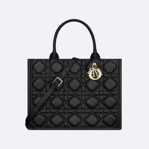 DIOR Medium Book Tote