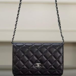 CHANEL WOC Fortune Bag Calfskin Shoulder Bag